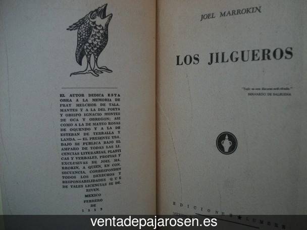 Criar canarios en Garaioa?