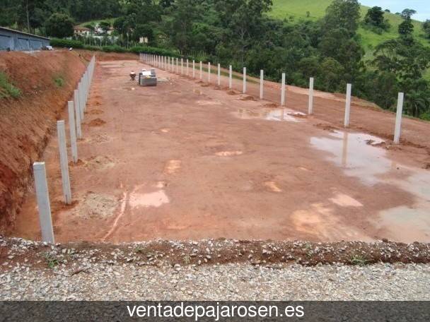 Tipos de pajaros en Zubieta?